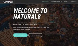 Natural8 Unveils New Offerings for Its Customers