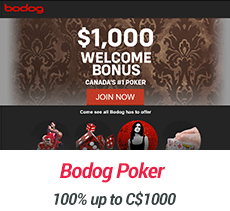 bodog-poker-review-screenshot-1